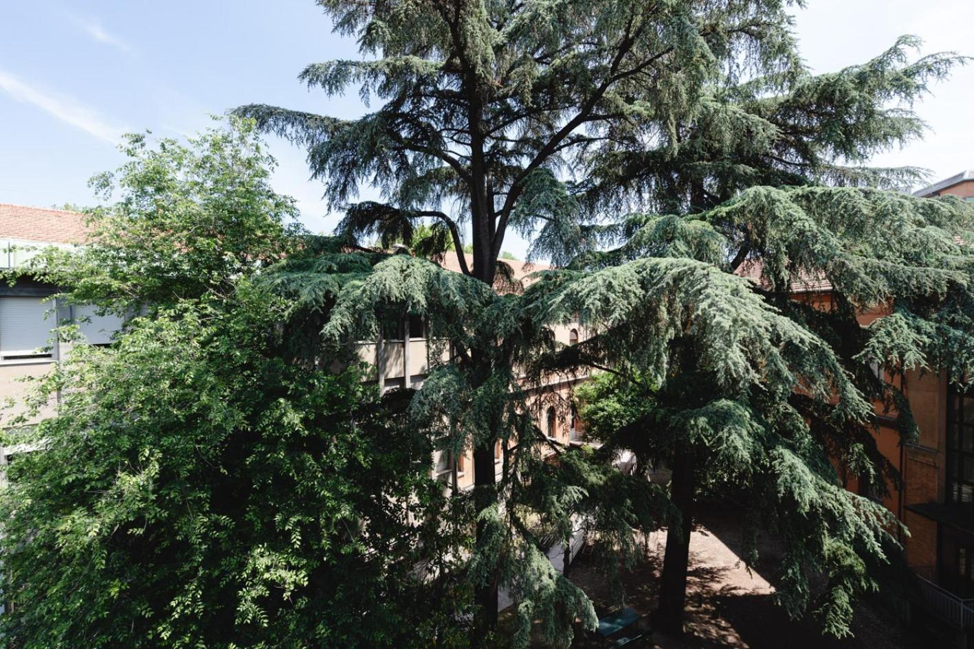 La Favolosa Casa Di Amelie Bolonha Exterior foto